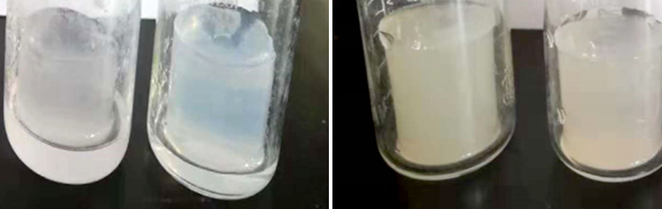 特斯特注射卡拉膠技術(shù)重大創(chuàng)新