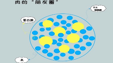 特斯特無磷保水記