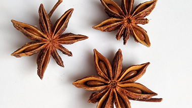 香辛料知識3——常見的中藥類香辛料