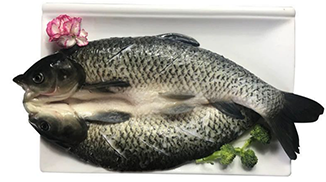 青島特斯特M81A開背魚保水工藝