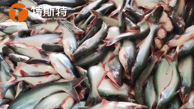 巴沙魚加工工藝