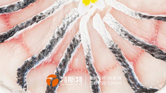 黑魚片保水增彈丨免漿黑魚片加工方案