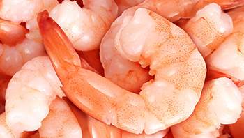 蝦仁加工解決方案