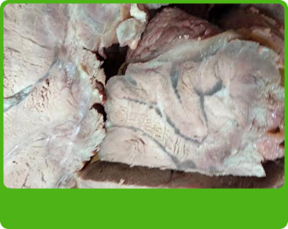 產(chǎn)品特性3